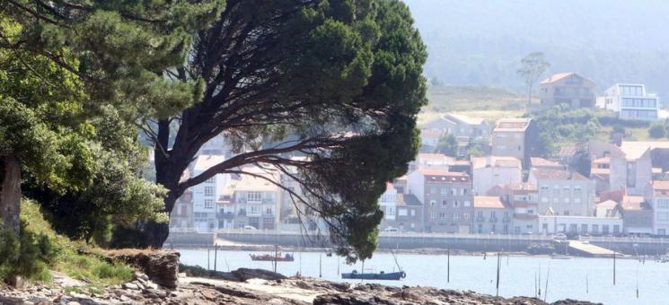 RED PARA LA RECUPERACIÓN DE LOS ECOSISTEMAS MARINOS EN EL PNMT ILLAS ATLÁNTICAS DE GALICIA
