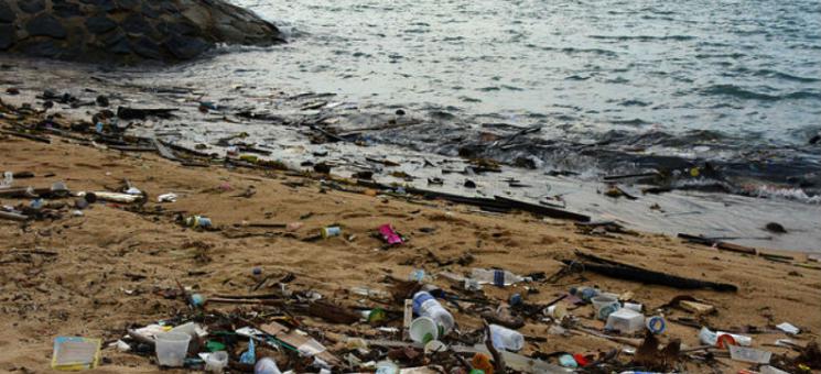 Red para la conservación de los ecosistemas marinos en el PNMTIAG