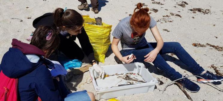 Red para la conservación de los ecosistemas marinos en el PNMTIAG