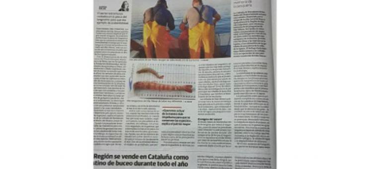 Asesoramiento para la Sostenibilidad Ambiental de la pesca del langostino