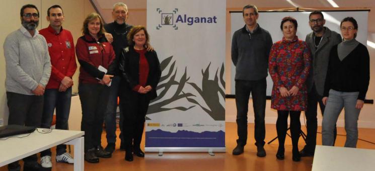 alganat2000