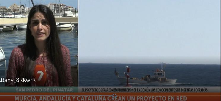 Cofradías de Pescadores de San Pedro, Guardamar y Santa Pola