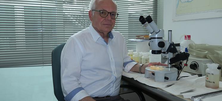 Josep-María Gili Sardà, profesor de Investigación del ICM-CSIC y director de MITICAP