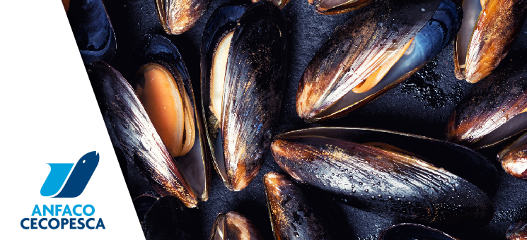 portada Bioshell
