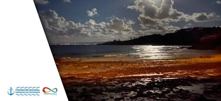 Portada MARDEVIDAS, Federación Nacional de Cofradías de Pescadores