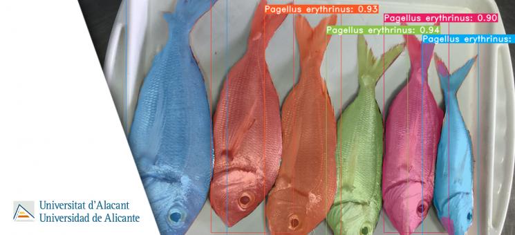 Proyecto Deepfish 2
