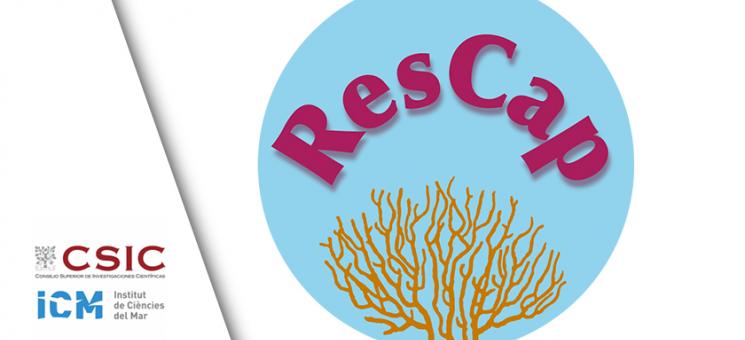 Proyectos RESCAP II