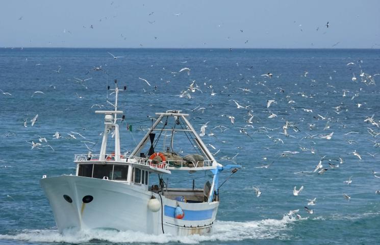Pesca de arrastre