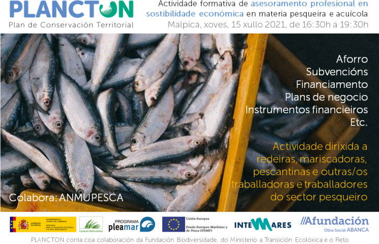 Programa - Formación de Afundación