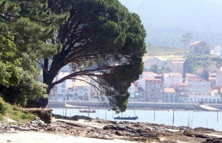RED PARA LA RECUPERACIÓN DE LOS ECOSISTEMAS MARINOS  EN EL PNMT ILLAS ATLÁNTICAS DE GALICIA