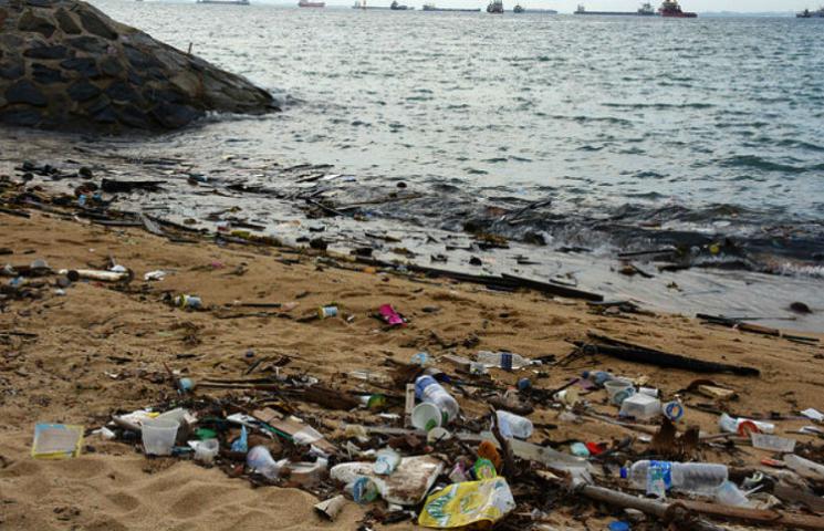 Red para la conservación de los ecosistemas marinos en el PNMTIAG