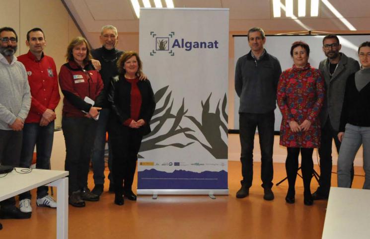 alganat2000