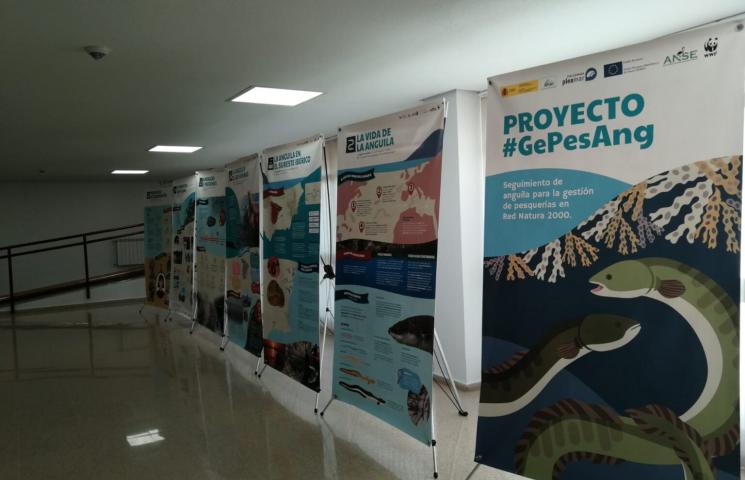 Exposición del Proyecto Gepesang