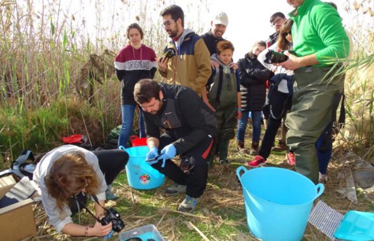 Voluntariado para el seguimiento de la anguila (c) ANSE