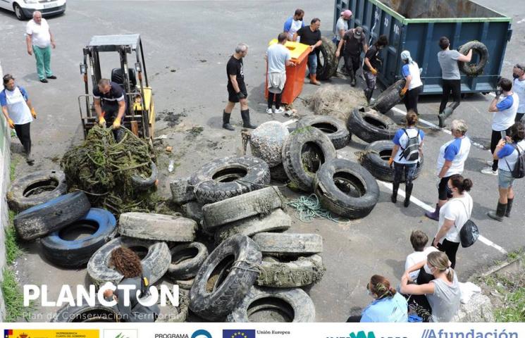 PLANCTON: limpieza de defensas