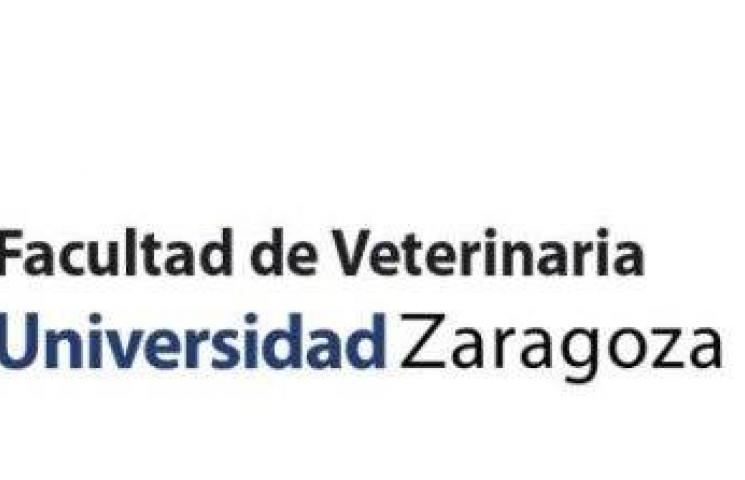 Logo Universidad de Zaragoza