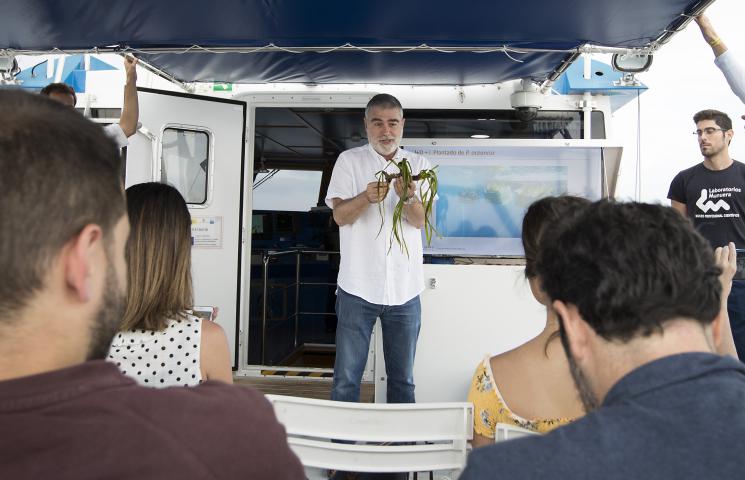 Jorge Terrados · IMEDEA