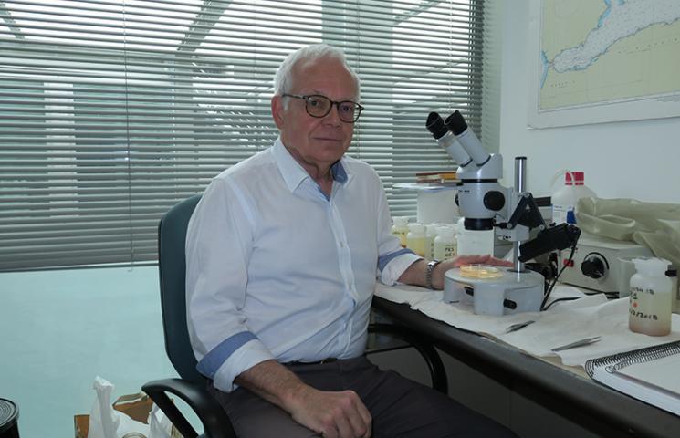 Josep-María Gili Sardà, profesor de Investigación del ICM-CSIC y director de MITICAP