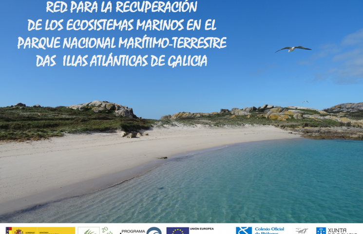 RED PARA LA RECUPERACIÓN DE LOS ECOSISTEMAS MARINOS  EN EL PNMT ILLAS ATLÁNTICAS DE GALICIA