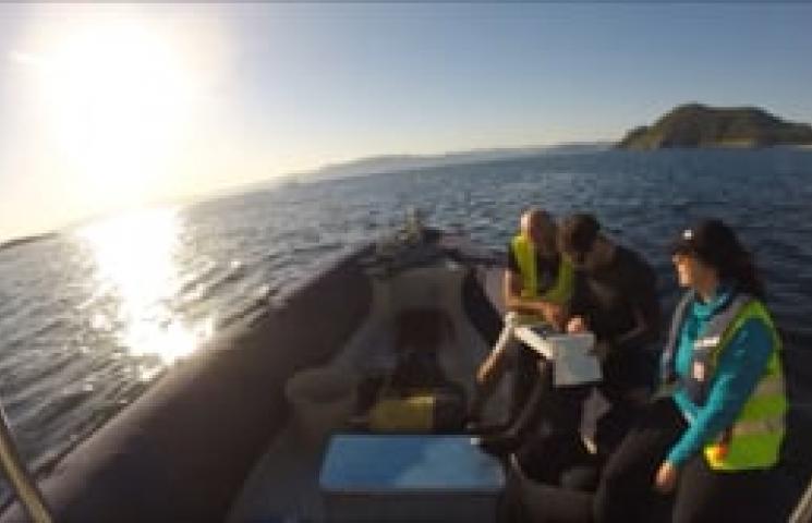 Timelapse del trabajo en superficie durante el fondeo de los receptores acústicos del proyecto.