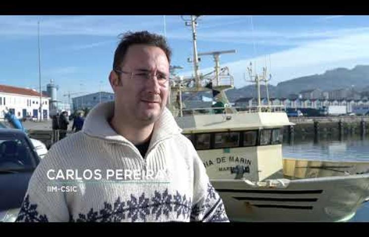 Las mejoras en el sistema iObserver se han probado en el buque oceanográfico Miguel Oliver y en buques comerciales