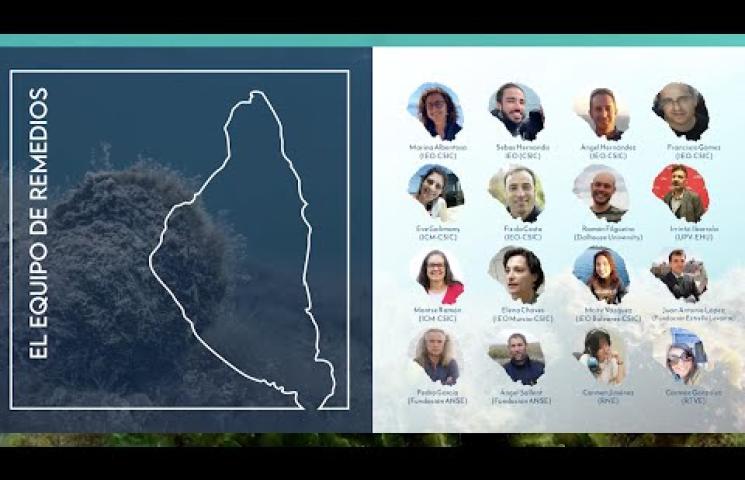 Video sobre el proyecto RemediOS