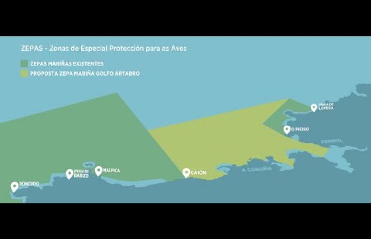 Vídeo divulgativo del proyecto Aves_Ártabras