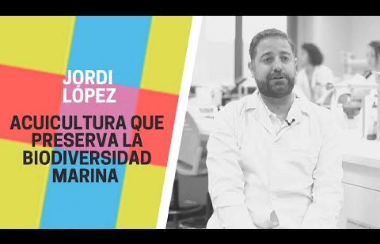 Proyecto PARAPEZ de la Universidad CEU Cardenal Herrera