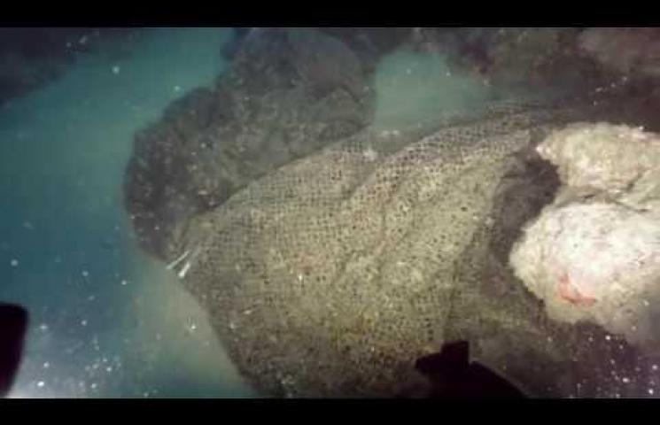 Vídeo que refleja el trabajo realizado en la campaña de extracción de aparejos de pesca perdidos realizada en Cataluña en 2019.
