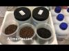 ALTERNFEED II: Experimento de Validacion en Trucha