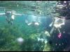 Increíbles fondos sumergidos en Isla Plana el 11 de julio
